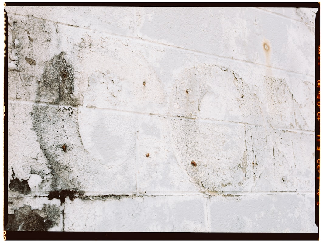 Flood Cleanup service in Longview, TX