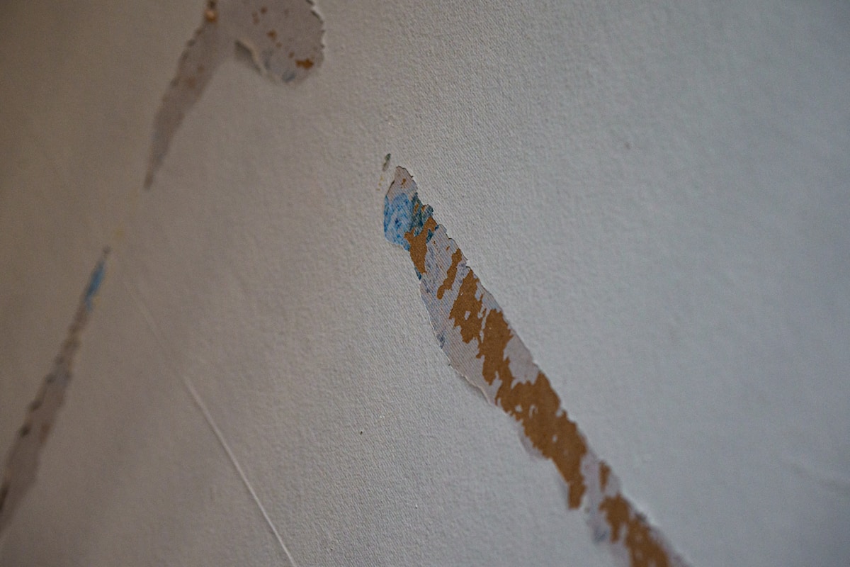 Mold Remediation service in Longview, TX